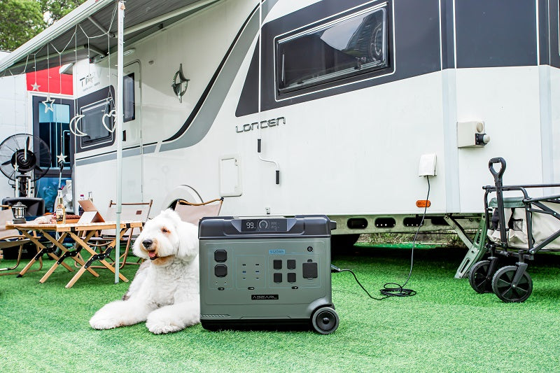 Portable Power Station: A Pet's Best Companion